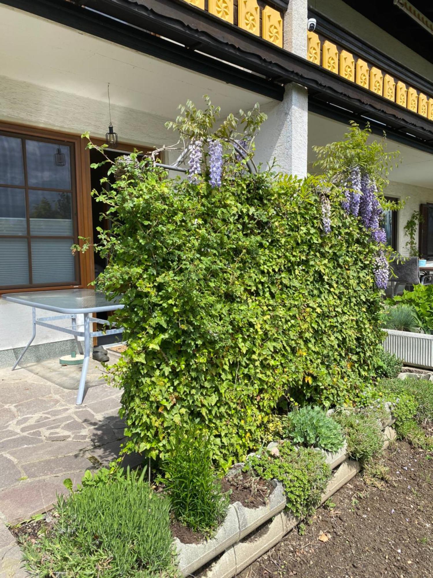 Fewo Marielle Seeboden Exterior photo